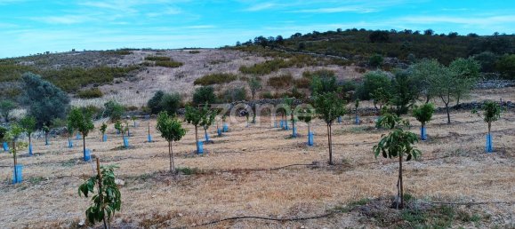 2 bedrooms House in Alcoutim, Portugal No. 56236 17