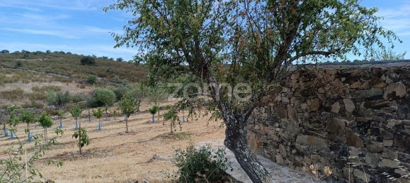 2 bedrooms House in Alcoutim, Portugal No. 56236 18