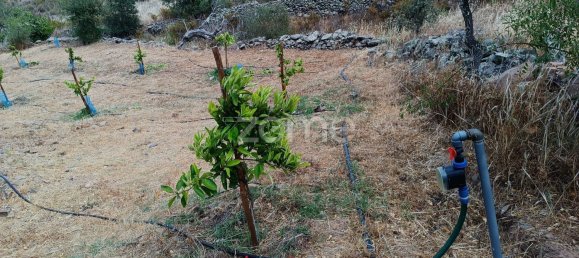 2 bedrooms House in Alcoutim, Portugal No. 56236 14