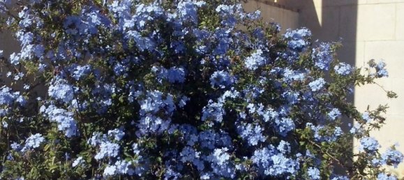 Casa T4 em Mutxamel, Spain N.º 109626 11