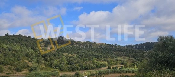 898m² Land in Ericeira, Portugal No. 275985 3