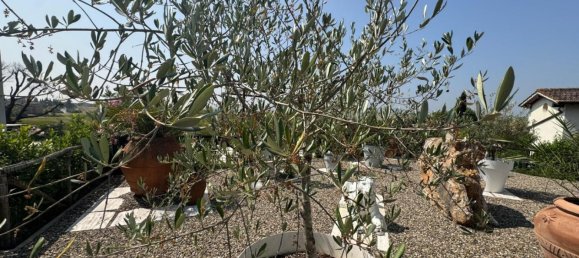 3 bedrooms Apartment in Siena, Italy No. 302060 12