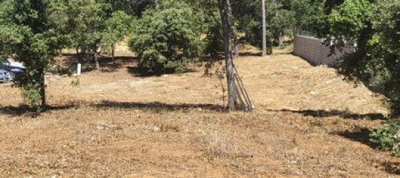 900m² Land in Piolenc, France No. 57598 3