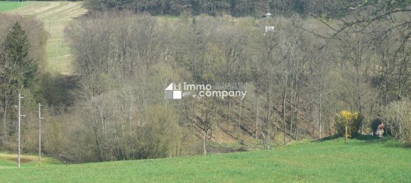 Grundstück in Blindenmarkt, Austria, Nr. 137588 4