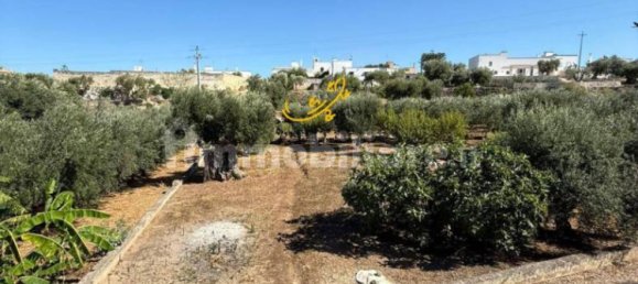 1 bedroom House in Monopoli, Italy No. 305826 11