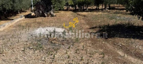 1 bedroom House in Monopoli, Italy No. 305826 20