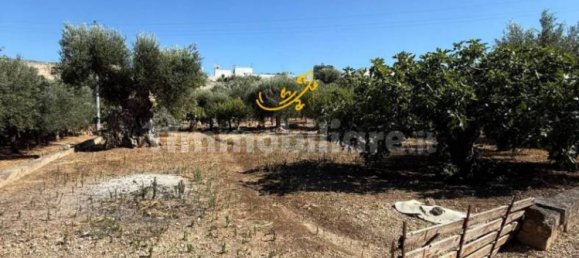 1 bedroom House in Monopoli, Italy No. 305826 19