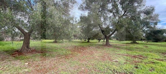 Дом с 5 комнатами в Челье Мессапика, Италия № 21635 17