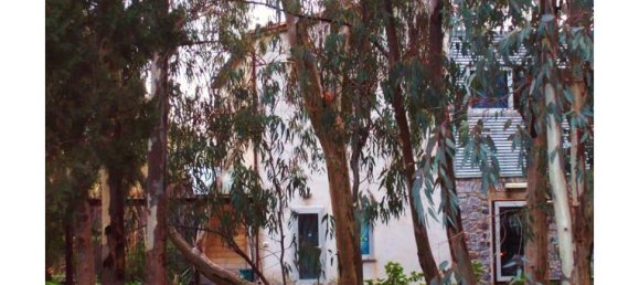 3 Schlafzimmer Haus in Marrubiu, Italy, Nr. 253778 8