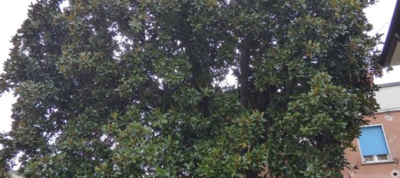 9 rooms Villa in Verona, Italy No. 225172 43