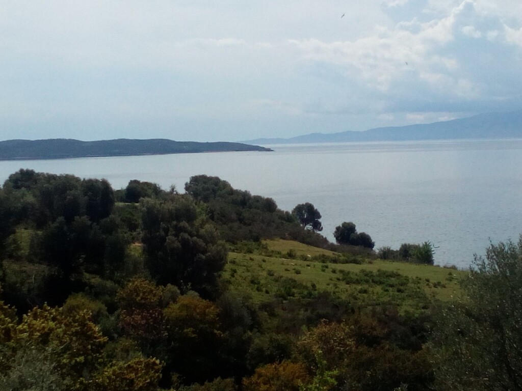  فندق في Chalkidiki, Greece 8500متر مربع رقم 52979