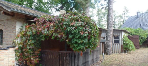 1 chambre Maison à Brandenburg, Germany No. 55771 6
