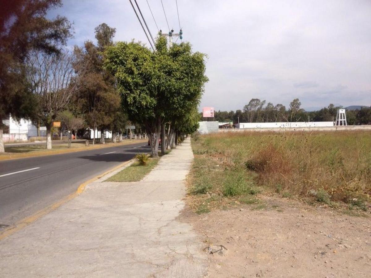  Land in Mexico No. 204524