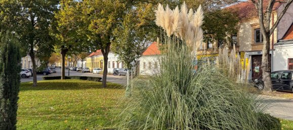 Terreno em Vienna, Austria 179 m² N.º 137950 10