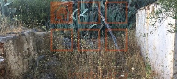 2 chambres Villa à Loule, Portugal No. 150667 4