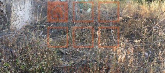 2 chambres Villa à Loule, Portugal No. 150667 3