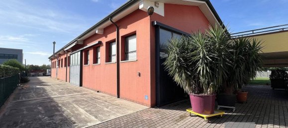  مستودع في Piombino Dese, Italy 453متر مربع رقم 281928 3