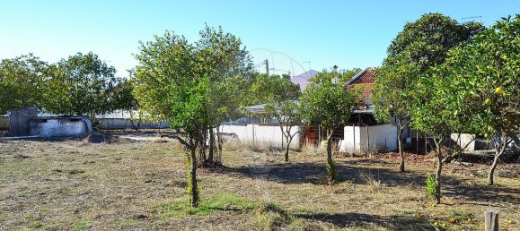 5 bedrooms House in Montemor o Novo, Portugal No. 182035 27