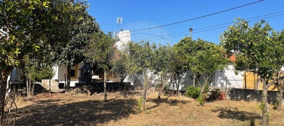 5 bedrooms House in Montemor o Novo, Portugal No. 182035 7