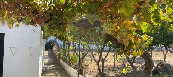 5 bedrooms House in Montemor o Novo, Portugal No. 182035 9