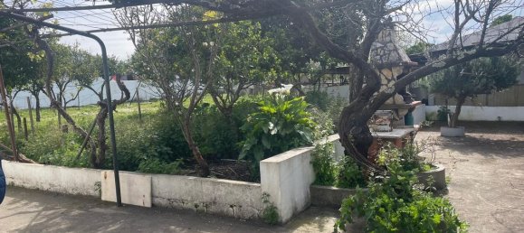 5 bedrooms House in Montemor o Novo, Portugal No. 182035 6