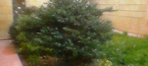 9 bedrooms House in Baku, Azerbaijan No. 975 4