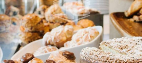 5 rooms Commercial property in Padua, Italy No. 380623 15