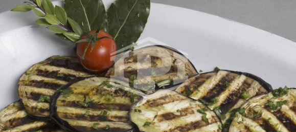 5 rooms Commercial property in Padua, Italy No. 380623 6