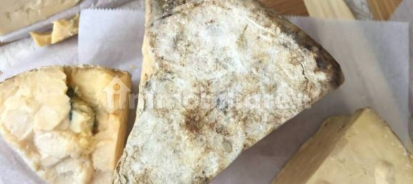 5 rooms Commercial property in Padua, Italy No. 380623 8