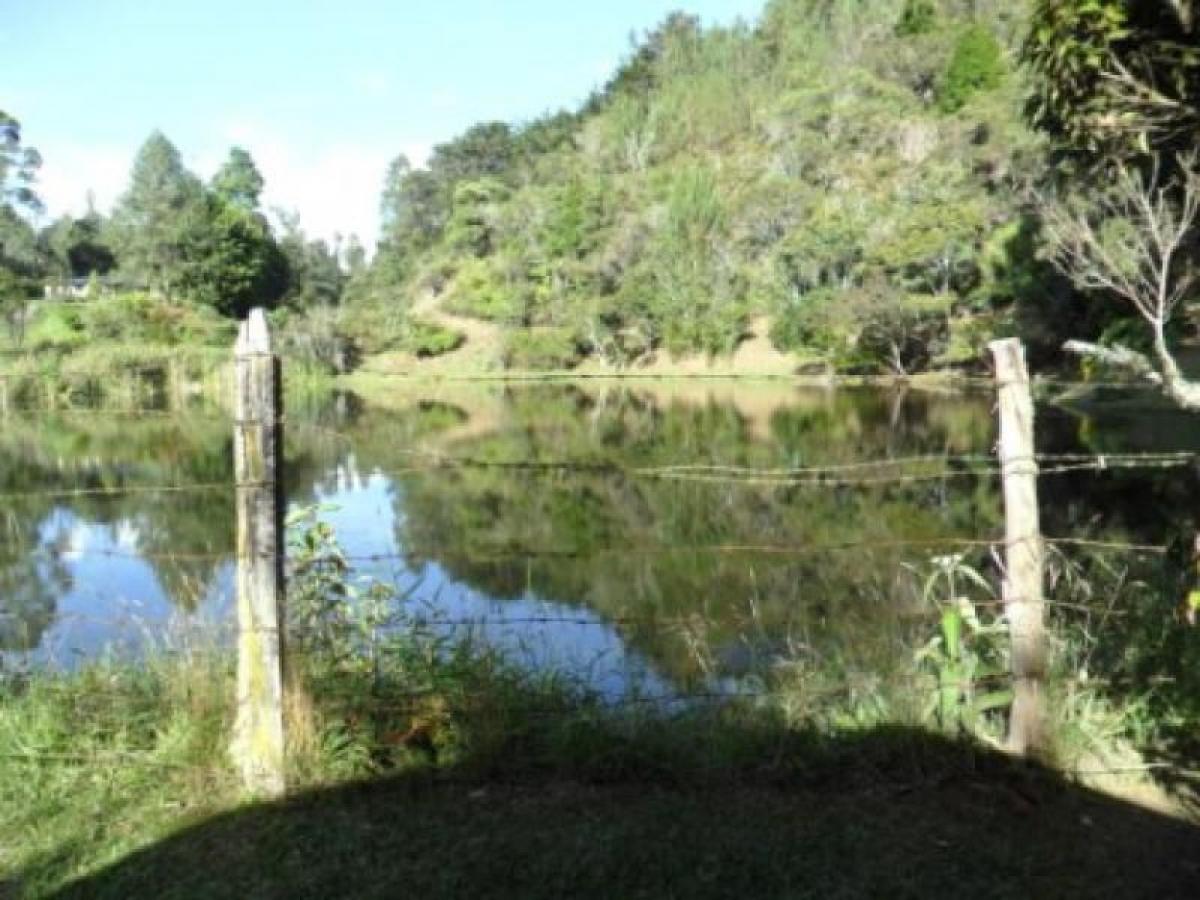 Casa de 4 dormitorios en Antioquia, Colombia No. 9456