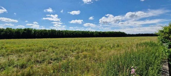 4 غرف نوم منزل في Gien, France رقم 270337 7