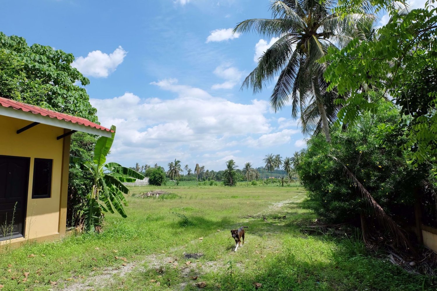  Commercial property in Pattaya, Thailand No. 1854