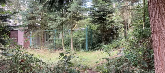 3غرفة منزل في Borde, Germany رقم 280675 9