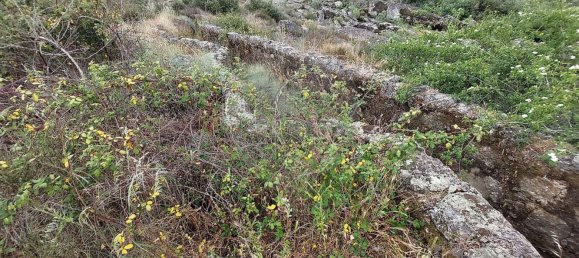 Studio à Nisa, Portugal No. 65821 15