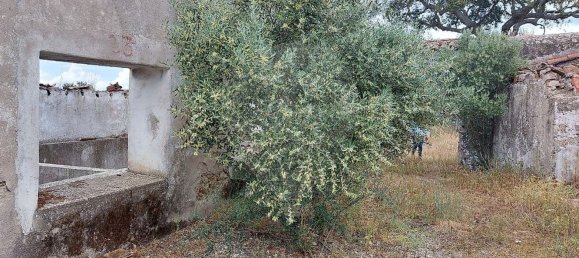 Studio à Nisa, Portugal No. 65821 8