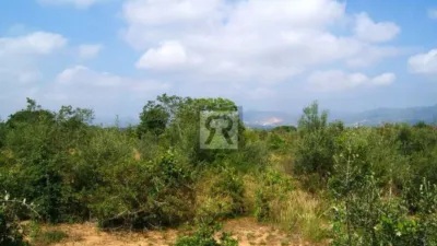 5300m² Land in Tarragona, Spain No. 252869