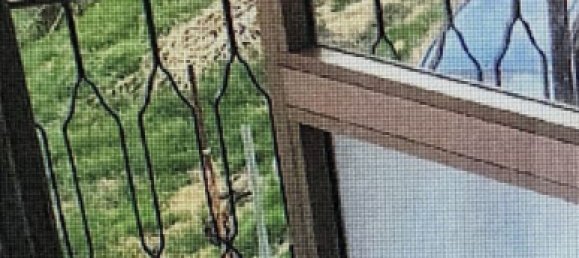 5 rooms Apartment in Torgiano, Italy No. 50309 6