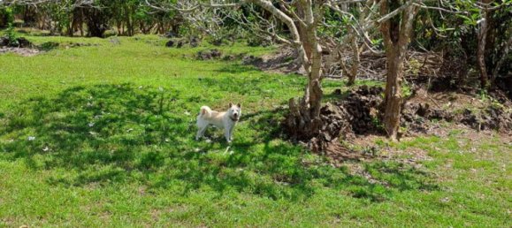Terreno em South Kuta, Indonesia 27900 m² N.º 4058 21