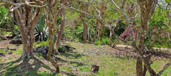 Terreno em South Kuta, Indonesia 27900 m² N.º 4058 27