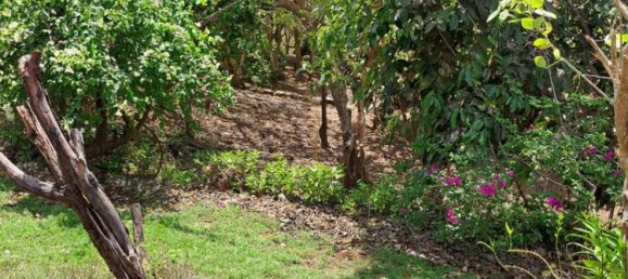 Terreno em South Kuta, Indonesia 27900 m² N.º 4058 28