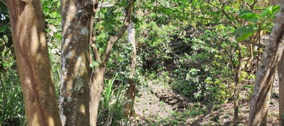 Terreno em South Kuta, Indonesia 27900 m² N.º 4058 24