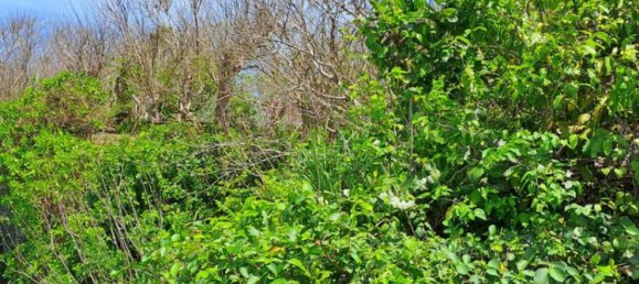 Terreno em South Kuta, Indonesia 27900 m² N.º 4058 13