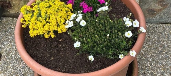 4-Zimmer Wohnung in Alba, Italy, Nr. 155963 10