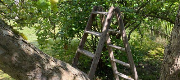  Land in Dahme-Spreewald, Germany No. 258758 10