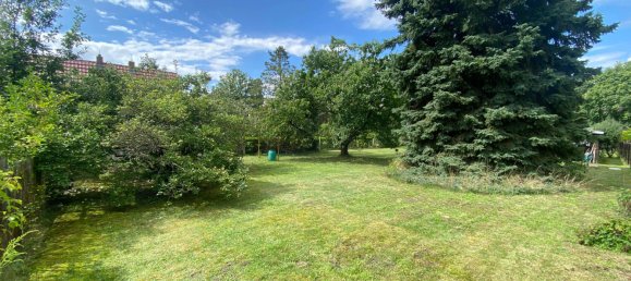  Land in Dahme-Spreewald, Germany No. 258758 9