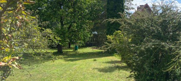  Land in Dahme-Spreewald, Germany No. 258758 5