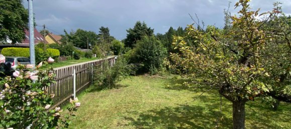  Land in Dahme-Spreewald, Germany No. 258758 3