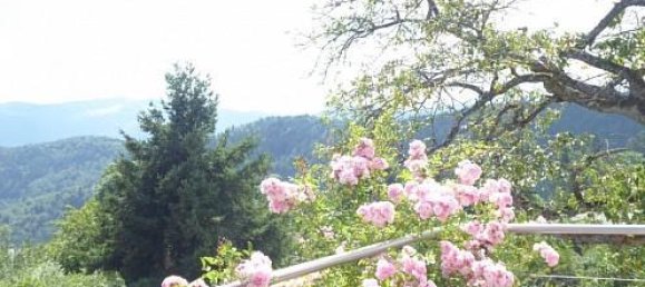 2 Schlafzimmer Haus in Goldbach-Altenbach, France, Nr. 99680 46