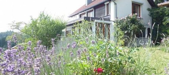 2 Schlafzimmer Haus in Goldbach-Altenbach, France, Nr. 99680 69