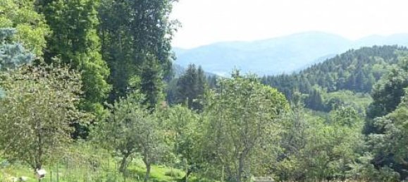 2 Schlafzimmer Haus in Goldbach-Altenbach, France, Nr. 99680 73